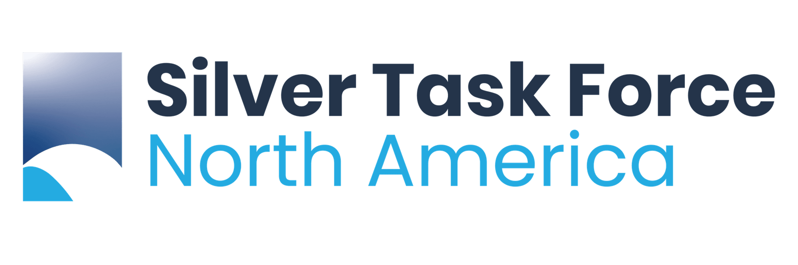Silver Task Force North America